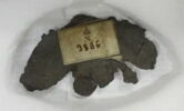 applique ; pectoral, image 2/2