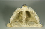 Console ornée d'une tête de chérubin encadrée de deux cornes d'abondance, image 3/4