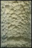 Moule de colonne orne de mousses, coquillages et feuilles de lierre, image 2/2