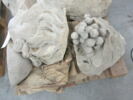 Raisins, image 3/3