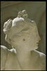 Daphné (poursuivie par Apollon), image 12/13