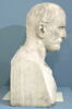 Brutus, image 2/4