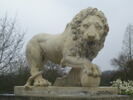 Lion Médicis, image 1/2