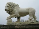 Lion Médicis, image 1/2