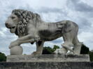 Lion Médicis, image 2/2