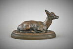 Faon de daim, image 1/2