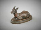 Faon de daim, image 2/2
