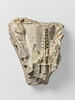 Fragment architectural sculpté sur quatre faces, décoré de moulures, de feuillage, de rosettes et d’un petit buste d’ange, image 2/9