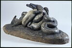 Serpent python étouffant un crocodile, image 3/4