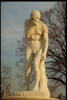 Cain venant de tuer son frère Abel, image 6/9