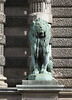 Lion assis, image 3/6