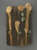 Plaque de revêtement en forme de tronc de chêne orné de deux glands, image 1/3