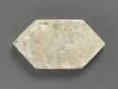 Carreau hexagonal : chien courant portant un collier, image 2/3
