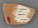 Fragment de carreau : deux animaux affrontés, image 2/2