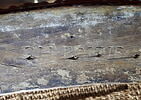 Fauteuil couvert en tapisserie de Beauvais, d'un ensemble de dix (OA 6657 à OA 6666), image 2/4