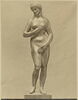 Statuette : Vénus pudique, image 4/4
