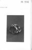 Anneau aux armes des princes Yengalitchev, image 2/2