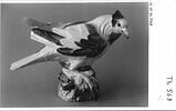Pigeon ramier, image 5/5