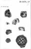 Fragment de plat, image 3/3