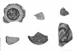 Fragment de l'aile d'une assiette, image 3/3