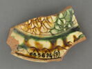 Fragment de l'aile d'un plat, image 2/3