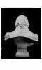 Buste de Louis XVIII, image 2/5