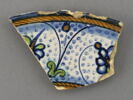 Fragment de l'aile d'un plat, image 1/3