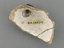 Fragments de l'épaule d'un vase de pharmacie avec attache de l'anse, image 2/3