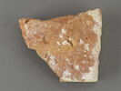 Fragment de carreau : fleur de lis (?), image 2/2