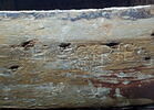Fauteuil couvert en tapisserie de Beauvais, d'un ensemble de dix (OA 6657 à OA 6666), image 2/5