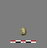 scarabée ; cachet ; amulette, image 2/4
