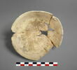 vase, image 1/2