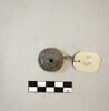 fusaïole, image 1/2