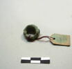 anneau  ; os, image 8/17