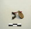 anneau  ; os, image 9/17