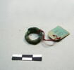 anneau  ; os, image 13/17