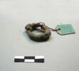 anneau  ; os, image 16/17
