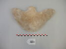 pelle ; araire, image 1/2