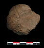 tablette, image 1/2