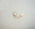perle ; sceau, image 3/3