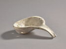 Coquille utilisée comme lampe, image 1/7