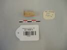 perle, image 1/2
