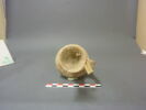 vase, image 7/7