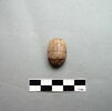 scarabée ; cachet, image 1/2