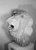 Tête de lion gardien de temple, image 7/7