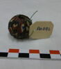 perle, image 3/3