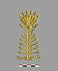 applique, image 2/2