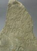 stèle  ; ex-voto, image 3/3