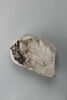 stèle  ; ex-voto, image 1/2
