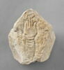 stèle  ; ex-voto, image 1/2